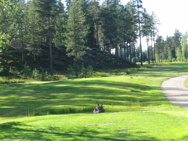 golf1 060.jpg